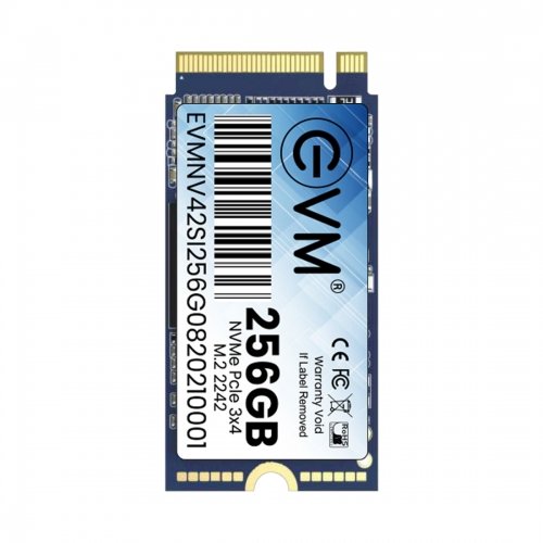 256GB M.2 NVME 2242 SSD