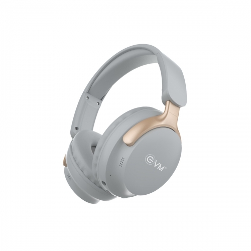 EnSonic Wireless Headphone EVM-WHF-01-Silver