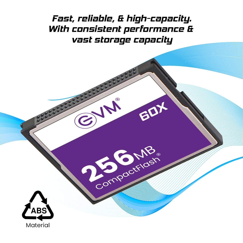 256MB CompactFlash Card 