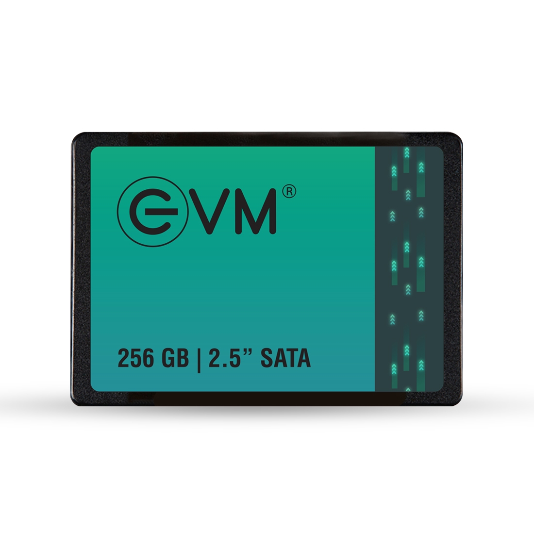 EVM 256GB SSD 2.5" INCH SATA - View 1