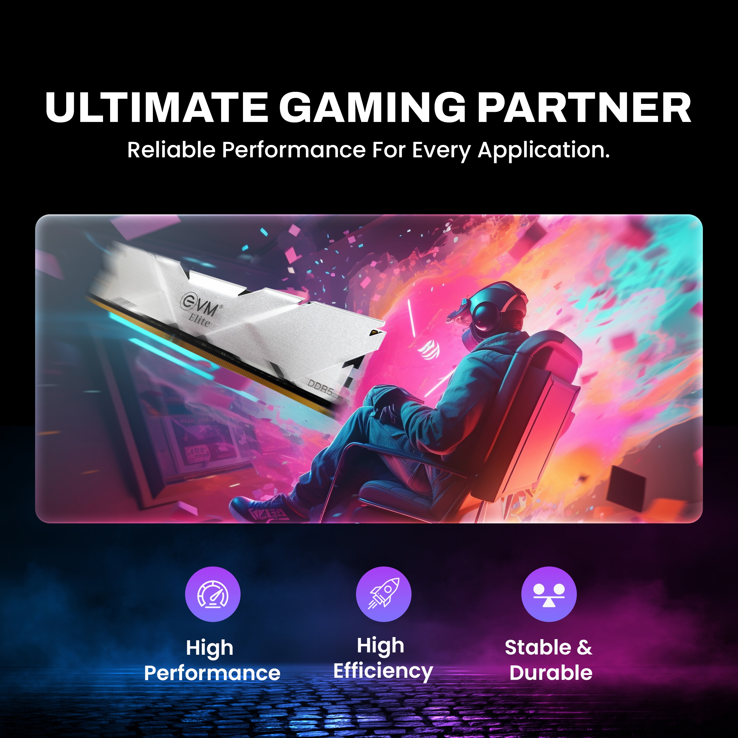 EVM ELITE GAMING RAM 16GB DDR5 5600 MHz Desktop