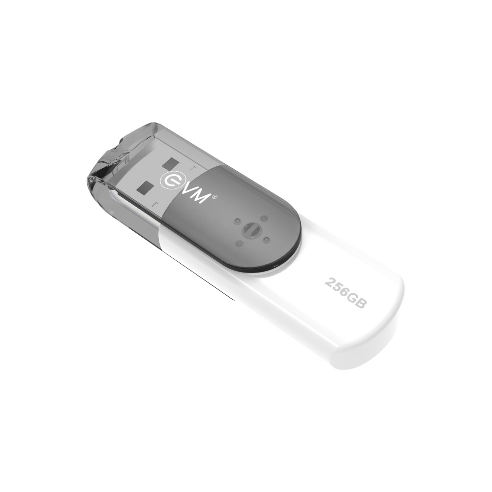 256GB EnStick USB 3.2 Gen 1