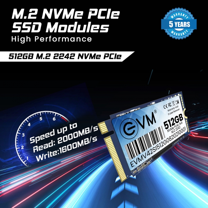 512GB NVME 2242 SSD